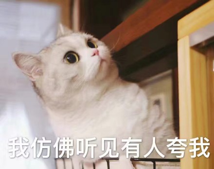 想找软乎乎的斗图素材？这套超萌喵星人表情包别错过