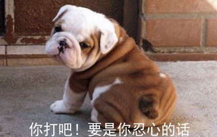 斗图神器！这句“你打吧！要是你忍心的话”表情包火了