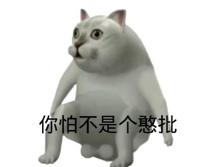 Mur猫憨憨猫表情包合集来啦