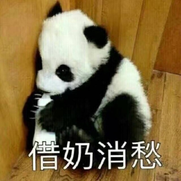 国宝大熊猫滚滚表情包来啦！