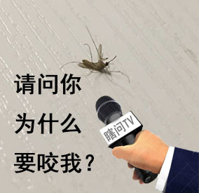 这套“瞎问TV”采访表情包，简直是当代年轻人的嘴替