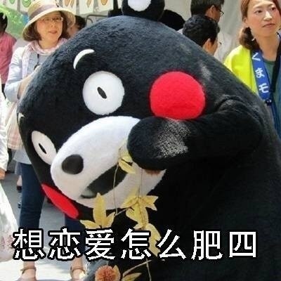 熊本熊版“怎么肥四”表情包合集来了