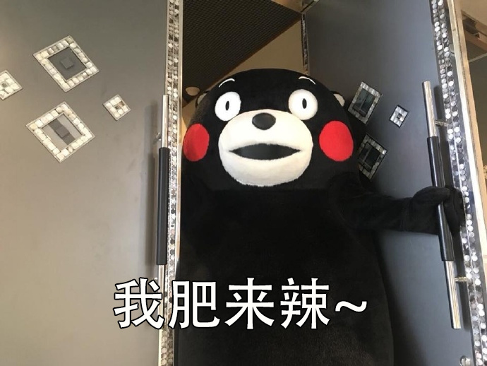 当然选择原谅了！这套熊本熊表情包火了