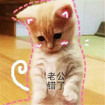 猫咪撒娇卖萌表情包合集来啦