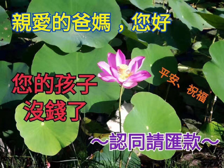 聊天斗图不愁！这份热门精选表情包合集收好