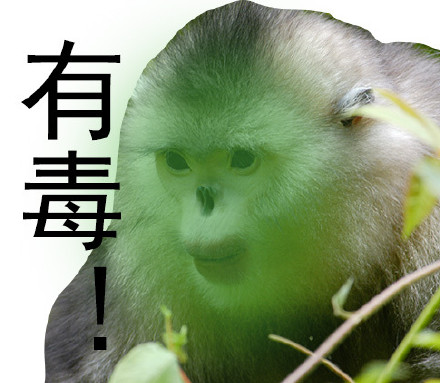 自带烈焰红唇的滇金丝猴表情包来啦