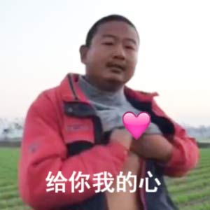 大伙催更的土味表情包来啦