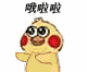 可爱小鹦鹉跳舞表情包来啦，聊天斗图超好用
