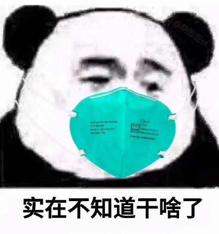 过年假期的我表情包合集