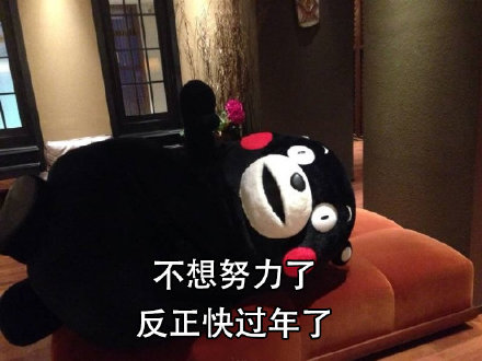 过年摸鱼摆烂表情包合集！反正快过年了啥都无所谓