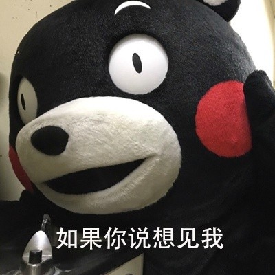 熊本熊版恋爱关系表白表情包来啦