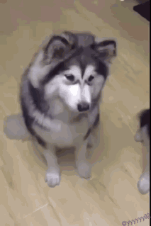 聊天常用的「emmm…」表情，居然是这么来的