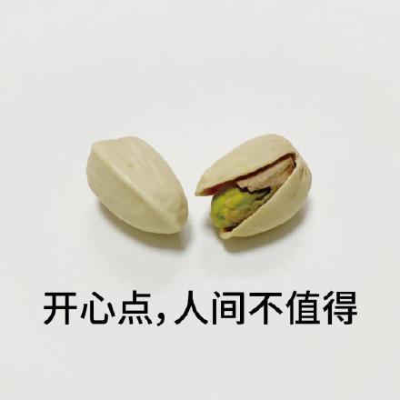 聊天必备！这套开心果表情包太好用了