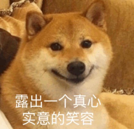 聊天斗图必备！这组猫咪狗子表情包太治愈了