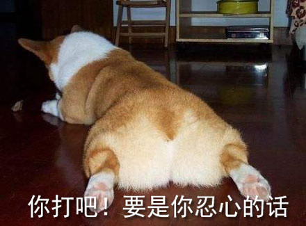 斗图神器！这句“你打吧！要是你忍心的话”表情包火了