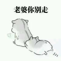 道歉向表情包合集：老婆原谅我吧，都是我的错