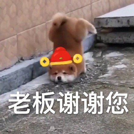 过年拜年不用愁！这套表情包帮你轻松拿捏场面