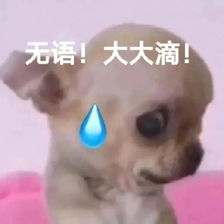 2月6日斗图表情包合集来啦