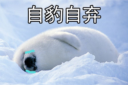 社会我豹哥！这套海豹表情包太萌了