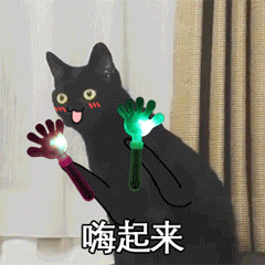 超火长颈黑猫动图表情包合集