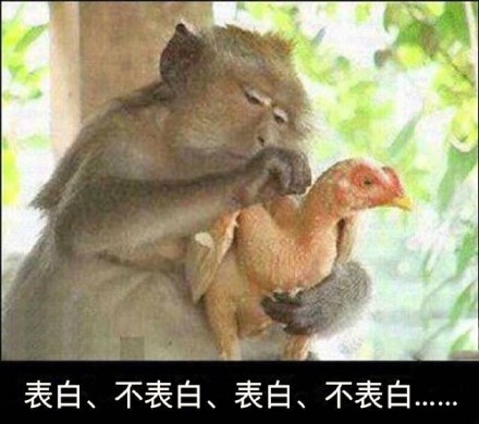 猴哥，放开那只鸡！这套犹豫表情包太上头了