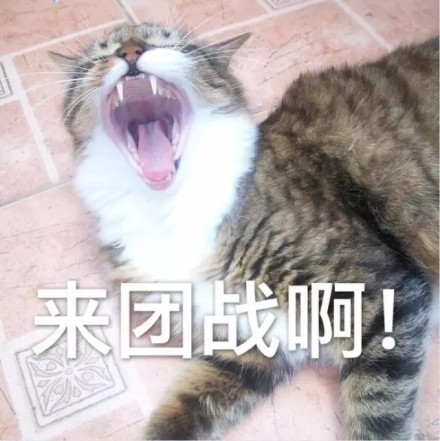开语音打《王者荣耀》时，队友那些戳中笑点的呐喊