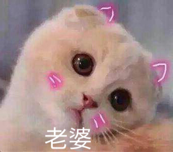 猫咪撒娇卖萌表情包合集来啦