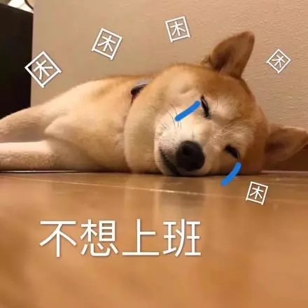 全网超全柴犬表情包合集来啦