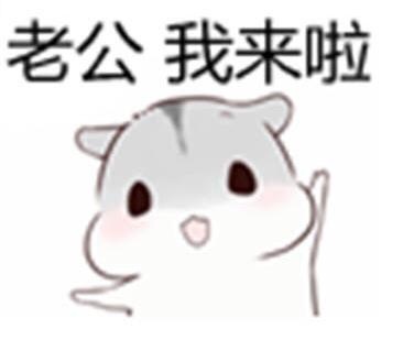 老婆撩老公专属表情包来啦