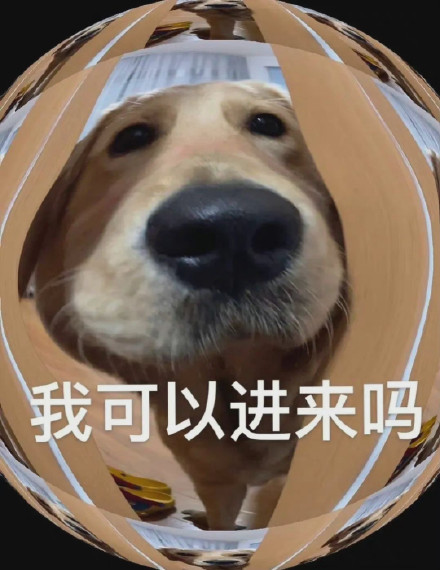 超甜修狗表情包！喊老婆开门、说我爱你都安排上了
