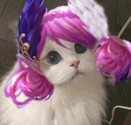 王者荣耀玩家专属！这套猫头头像太适配游戏社交了