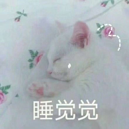 铲屎官快来看！这套喵星人盟主表情包快收好