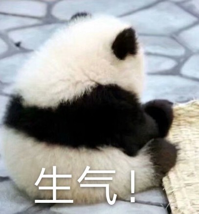 圆滚滚熊猫表情包来啦！聊天斗图直接用