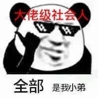 盘点9款男人自拍熊猫头表情包