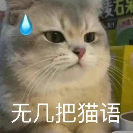 2月6日斗图表情包合集来啦