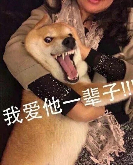 追星女孩专属！这套日常斗图表情包太戳人