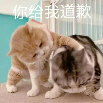 1月10日斗图表情包合集来了