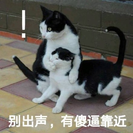 别瞎说，我们俩感情好着呢