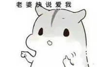 给妻奴的专属表情包，赶紧来存图