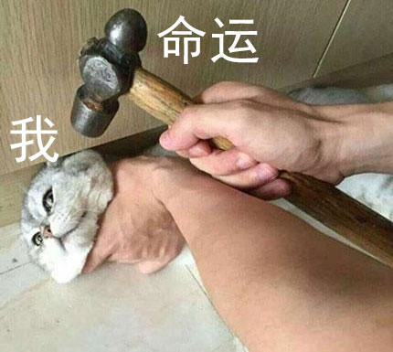 打工人、考试党同款！