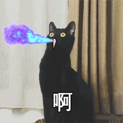 超火长颈黑猫动图表情包合集