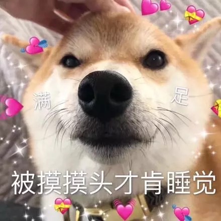 全网超全柴犬表情包合集来啦