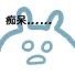 小兔子表情包上新啦