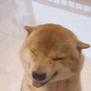 赶紧来更新你的聊天表情包吧