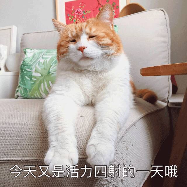 emo感拉满！这套丧系猫咪表情包太戳人了