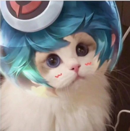 王者荣耀玩家专属！这套猫头头像太适配游戏社交了