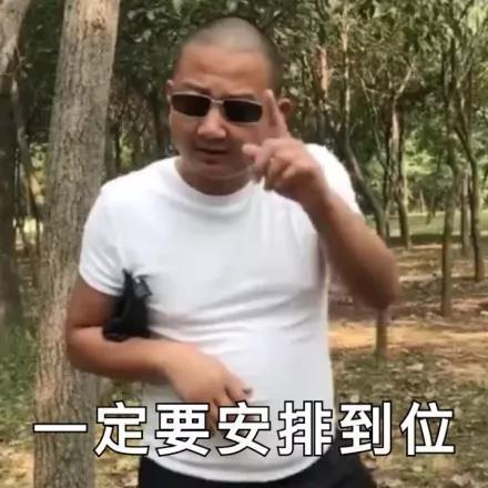 giao哥专属表情包合集来啦