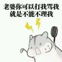 道歉向表情包合集：老婆原谅我吧，都是我的错