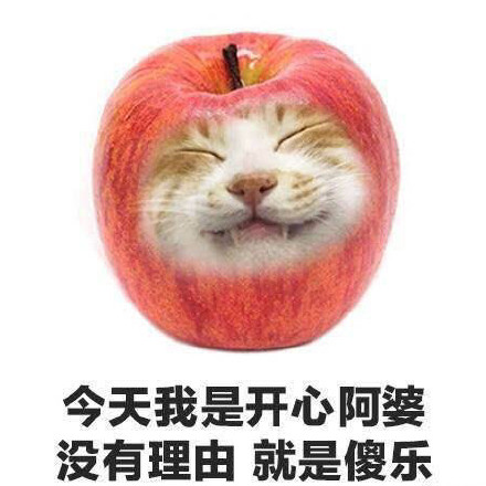 救命！这套水果表情包把谐音梗玩明白了