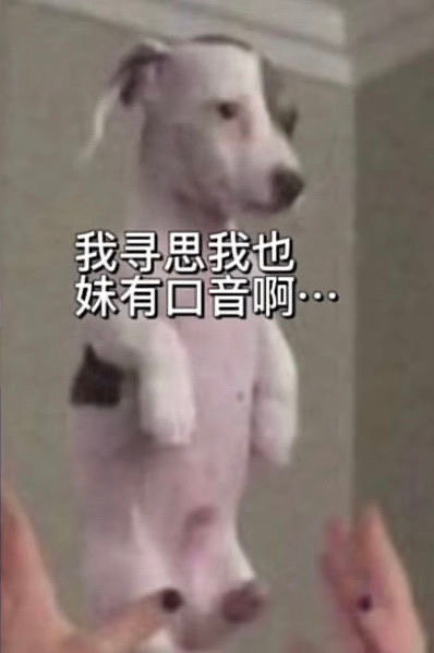 咱真没口音啊！这款表情包火了
